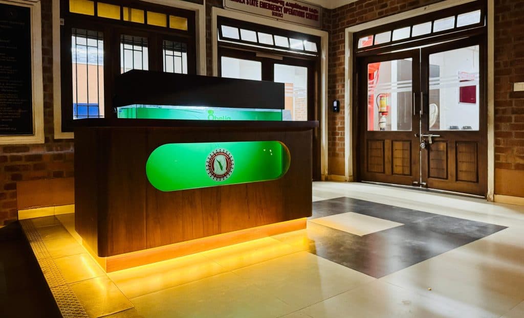 Obelia Installation 4