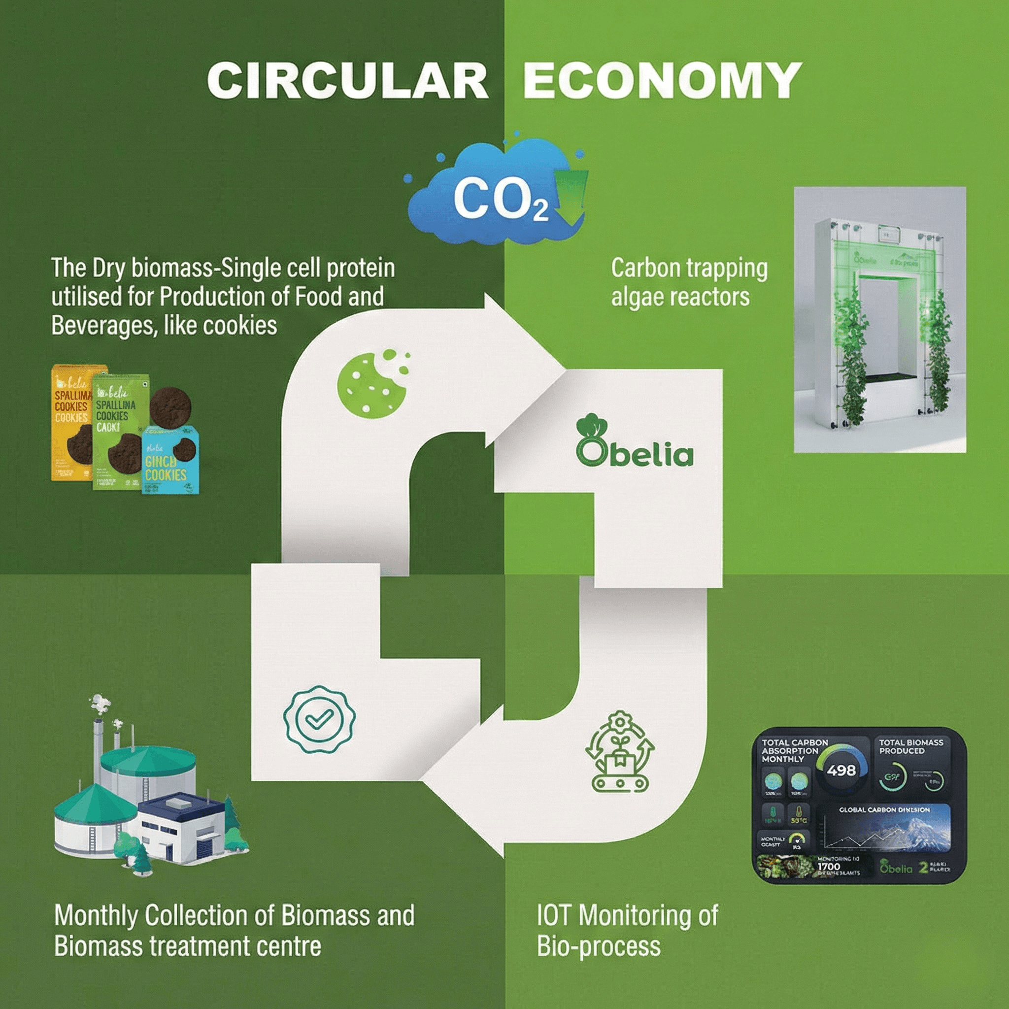 Circular Economy