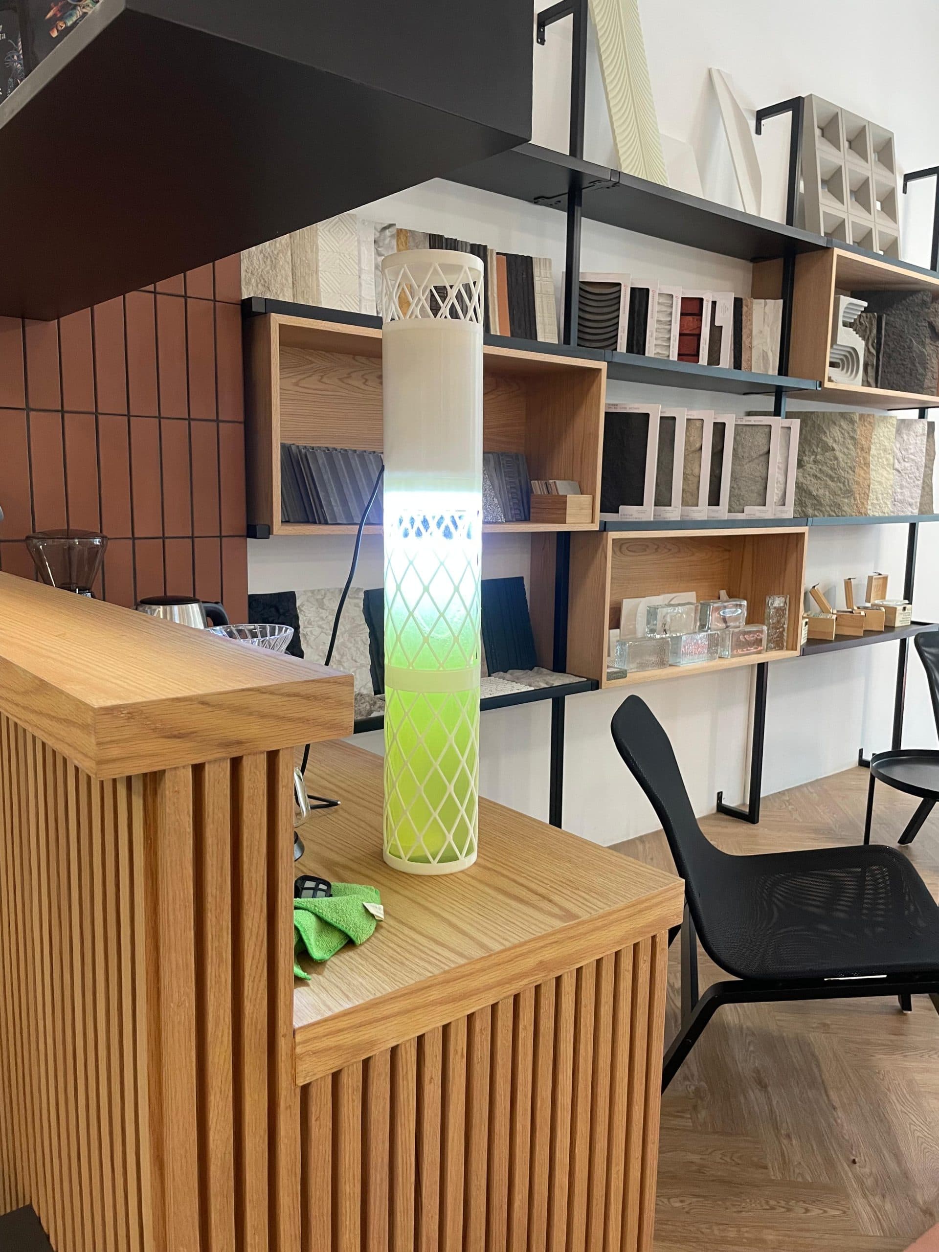 Obelia Installation 1