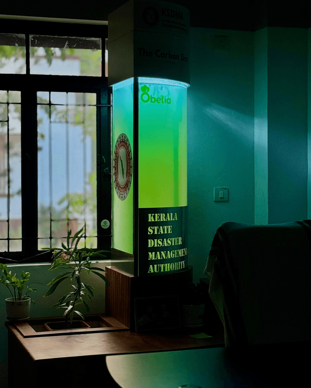 Obelia Installation 0